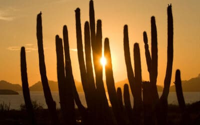 Guaymas, Sonora, SON