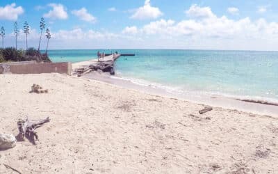 La Isla de en Medio, Veracruz, VER