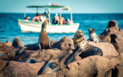 La Paz, Baja California Sur, BCS
