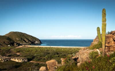 Todos Santos, Baja California Sur, BCS