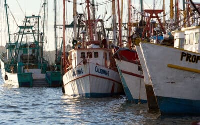 Topolobampo, Sinaloa, SIN