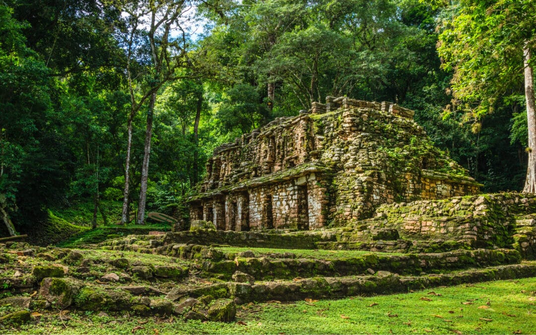 Yaxchilán, Chiapas, CHP